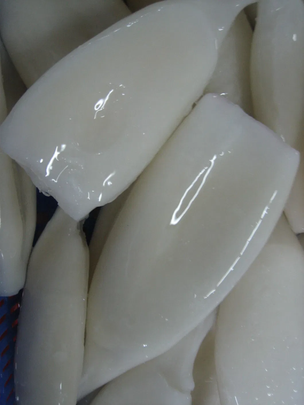 Frozen Squid Ring, EU Treated.